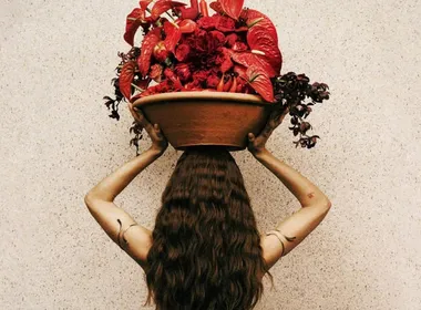 Imagem ilustrativa da imagem Anitta revela capa de seu novo álbum, 'Equilibrium 2'