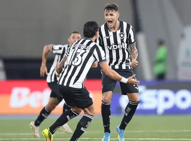 Imagem ilustrativa da imagem Botafogo aproveita trapalhada nos acréscimos e vence Santos em jogo agitado