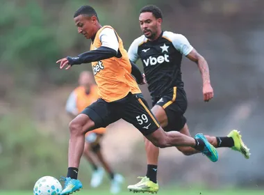 Imagem ilustrativa da imagem Botafogo mira controle da SAF após acusação de desvio de aporte ao Lyon