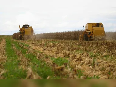 Imagem ilustrativa da imagem A Copa do agro já é nossa