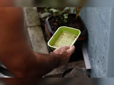 Imagem ilustrativa da imagem El Niño pode aumentar casos de chikungunya e dengue no Brasil