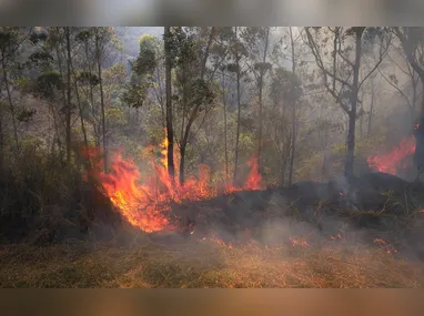 Imagem ilustrativa da imagem El Niño pode trazer ondas de calor, incêndios e chuvas irregulares, alerta governo