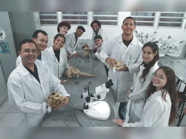 Imagem ilustrativa da imagem Enade: 11 cursos da Ufes alcançam conceito máximo do MEC