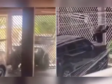 Viatura da Policia Federal