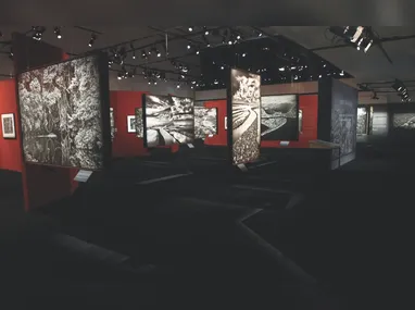Treze balões de ar quente, incluindo modelos temáticos, vão participar do evento
