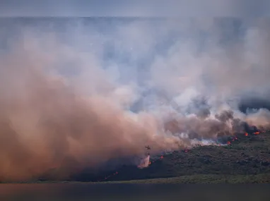 Imagem ilustrativa da imagem Homem é preso por iniciar 'pior incêndio da história' na região de Madri
