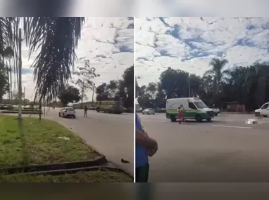 Os entorpecentes foram encontrados com o auxílio do cão farejador de codinome "Chacau".