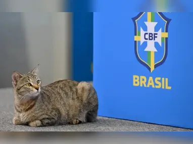 Jogadores da Espanha no treino