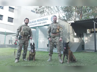 Imagem ilustrativa da imagem Nova geração de cães para ajudar a polícia do ES a combater o crime
