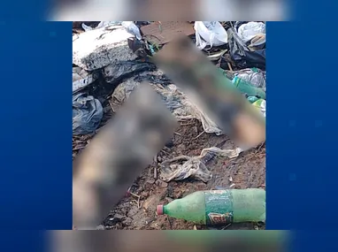 Imagem ilustrativa da imagem Pernas humanas são encontradas dentro de sacola em canal de Vila Velha