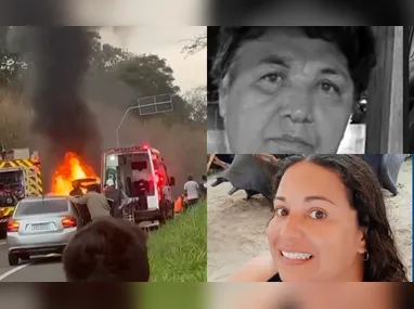 Armas apreendidas durante operação