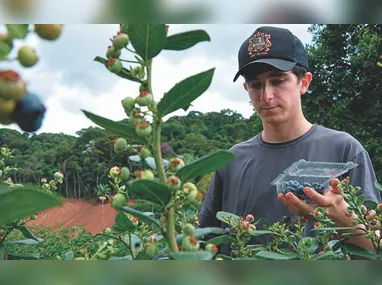 Estrutura na Fazenda Experimental Bananal do Norte integra ensino, pesquisa e extensão e abre cursos técnicos para estudantes e produtores