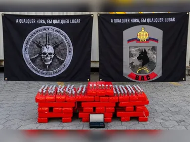 Após o crime, ele fugiu para o Espírito Santo, onde estava escondido na residência de familiares