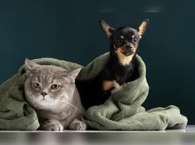 Marlene Christ ficou animada em participar do sorteio