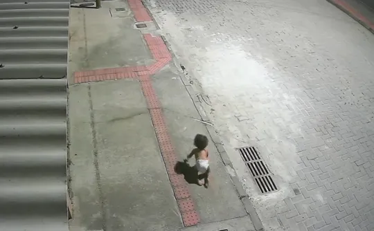 Imagem ilustrativa da imagem VÍDEO: bebê é encontrada engatinhando sozinha em rua de Vila Velha