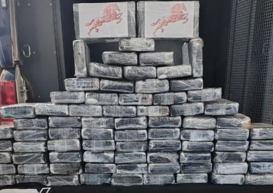 Imagem ilustrativa da imagem Avião com dois corpos e carga de cocaína é encontrado caído em MT