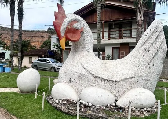 Imagem ilustrativa da imagem Casa na árvore, mirante e suíte em forma de garrafão. Veja onde se hospedar
