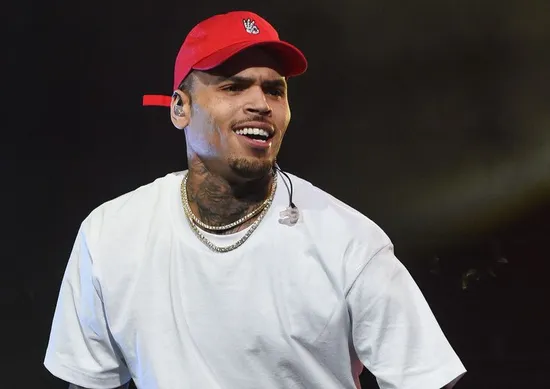 Imagem ilustrativa da imagem Chris Brown é condenado a pagar US$ 13 mi após ataque de cachorro a ex-funcionária