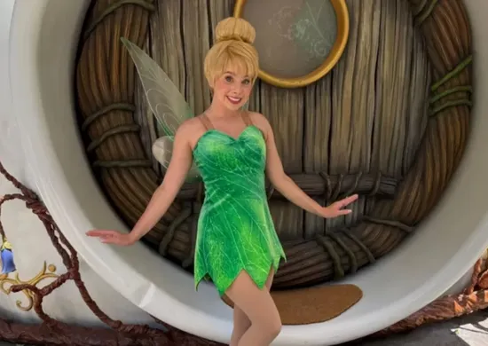 Imagem ilustrativa da imagem Disney fechará famosa atração da Sininho por tempo indeterminado