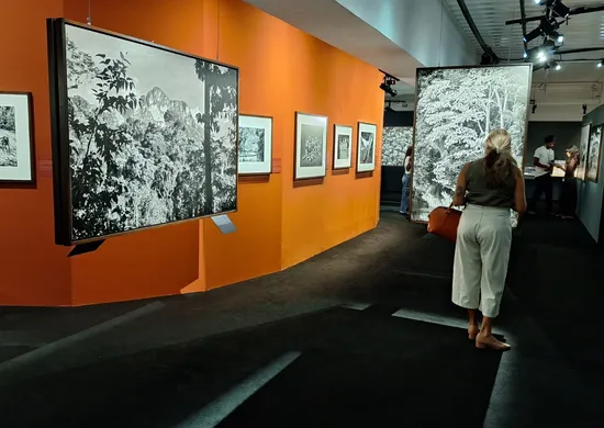 Imagem ilustrativa da imagem Exposição Amazônia ultrapassa 45 mil visitantes