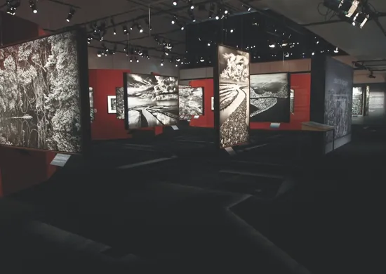 Imagem ilustrativa da imagem Exposição de Sebastião Salgado no Cais das Artes vai até dia 5