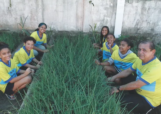 Imagem ilustrativa da imagem Horta em escola na Serra: uma aula de alimentação saudável e respeito à natureza