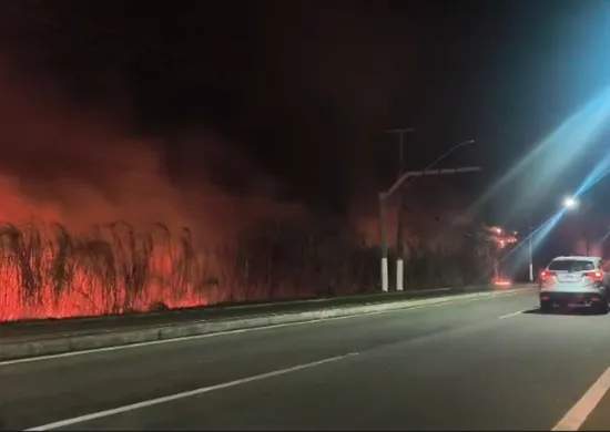 Imagem ilustrativa da imagem Incêndio atinge área de mata na Praia da Baleia na Serra