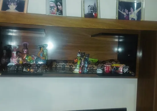 Imagem ilustrativa da imagem Jiboia é resgatada em estante da sala de uma casa em Vila Velha
