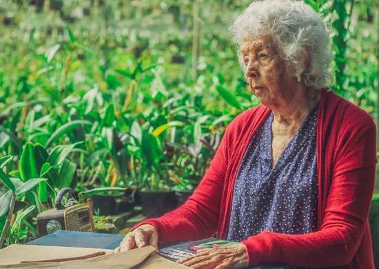 Imagem ilustrativa da imagem Mulheres rompem ciclos de violência no curta Orquidário