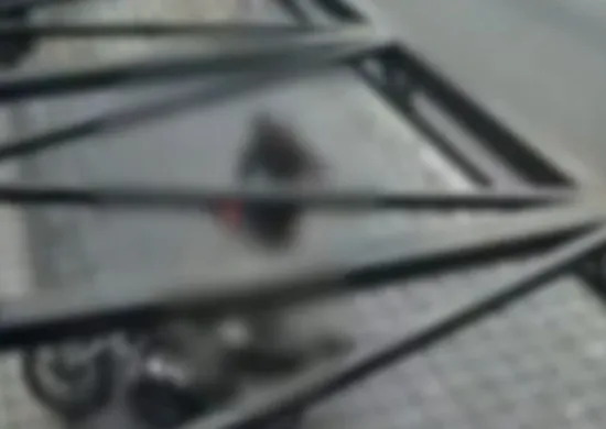 Imagem ilustrativa da imagem Policial atira contra dois homens em falso assalto na zona leste de SP