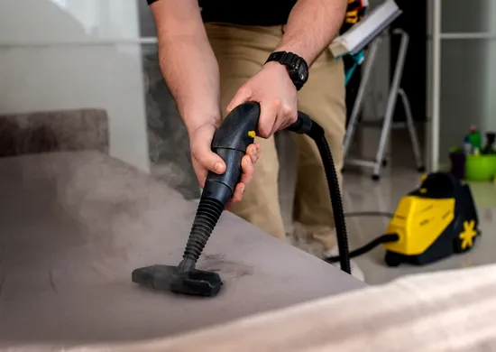 Imagem ilustrativa da imagem Riscos de explosão com produtos para proteger o sofá