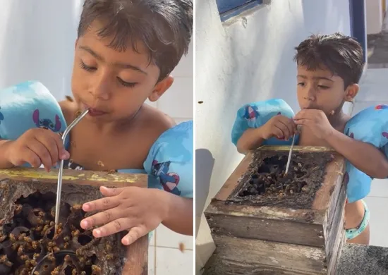 Imagem ilustrativa da imagem VÍDEO: Menino de Anchieta viraliza com estilo "raíz" de beber mel