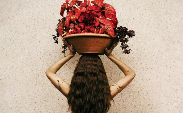 Imagem ilustrativa da imagem Anitta revela capa de seu novo álbum, 'Equilibrium 2'