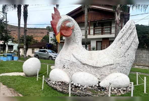 Imagem ilustrativa da imagem Casa na árvore, mirante e suíte em forma de garrafão. Veja onde se hospedar