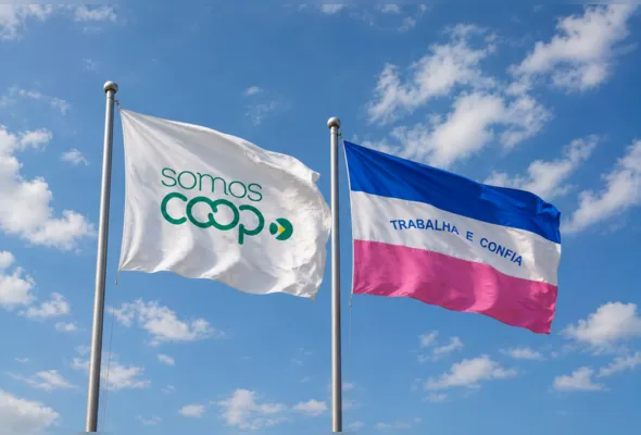 Cooperativismo registra crescente aumento de membros no Espírito Santo, presente em diversas áreas