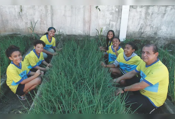 Imagem ilustrativa da imagem Horta em escola na Serra: uma aula de alimentação saudável e respeito à natureza