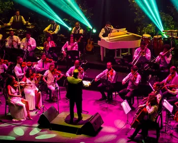 Imagem ilustrativa da imagem Michael Jackson ganha concerto gratuito com mais de 40 artistas em Vitória