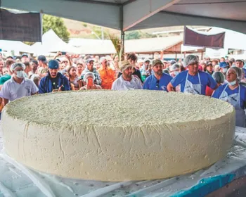 Imagem ilustrativa da imagem Queijo de 1,5 tonelada é atração em festa rural no Caparaó