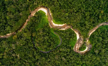 Imagem ilustrativa da imagem Alertas de desmatamento na amazônia caem ao menor patamar da série histórica