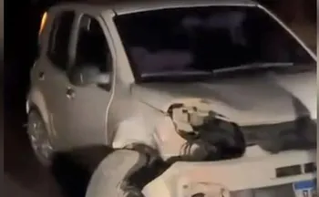 Imagem ilustrativa da imagem Carro atropela capivara e bate em árvore em rodovia no Sul do ES