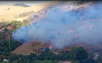 Imagem ilustrativa da imagem Incêndio atinge região de mata em Cariacica