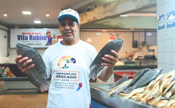 Imagem ilustrativa da imagem Pescado com desconto de até 30% chega a peixarias e restaurantes do ES