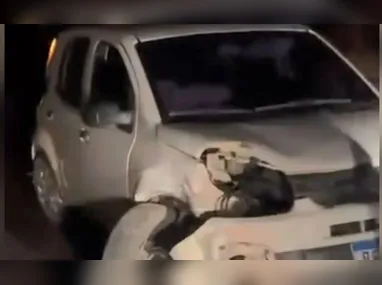 Imagem ilustrativa da imagem Carro atropela capivara e bate em árvore em rodovia no Sul do ES