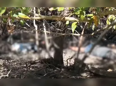 Espada e espingarda de pressão foram apreendidas no quarto em que o homem estava trancado