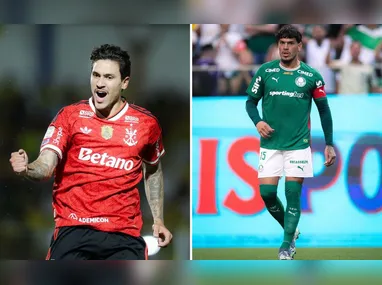 Imagem ilustrativa da imagem Flamengo e Palmeiras são favoritos ao título no Brasileirão; veja probabilidades