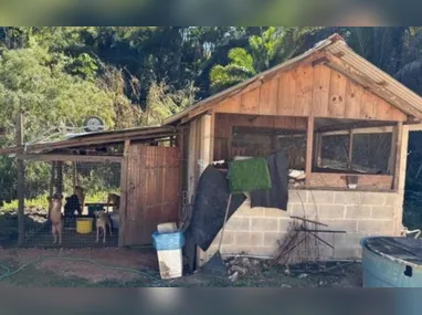 Fissura em falésia na Praia dos Cações aumenta risco de deslizamentos, leva à interdição de área e exige atenção de moradores e turistas