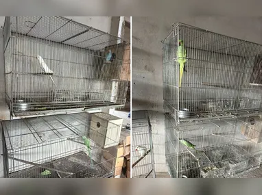 Vilson foi preso 3 dias após o ocorrido
