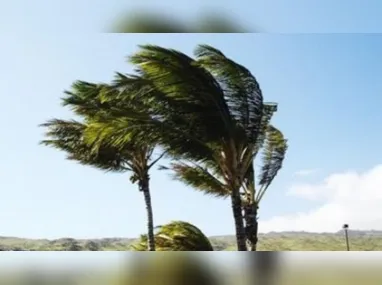 Imagem ilustrativa da imagem Ventos costeiros colocam cidades do litoral do ES em alerta