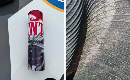 Imagem ilustrativa da imagem Artefato explosivo é destruído pelo Esquadrão Antibombas em Muniz Freire