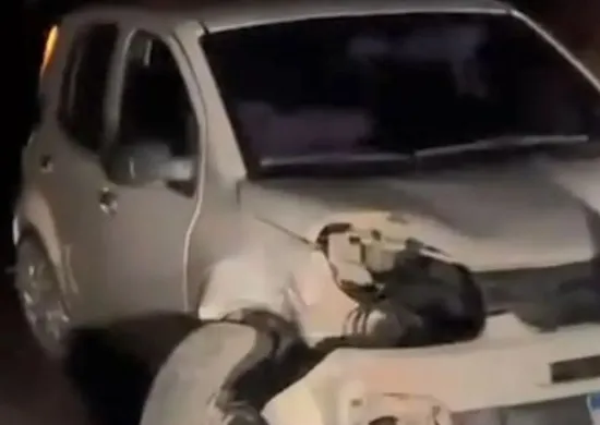 Imagem ilustrativa da imagem Carro atropela capivara e bate em árvore em rodovia no Sul do ES